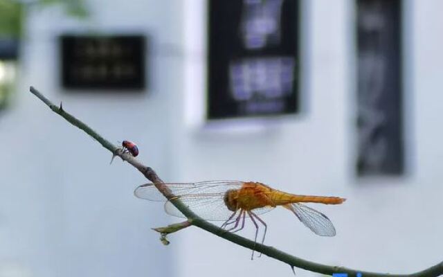 Qijiantang Villa Mount Jiuhua