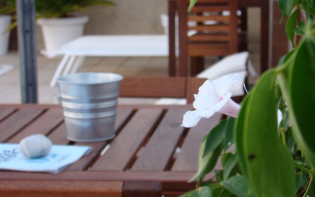 Apartamentos Fleming 50