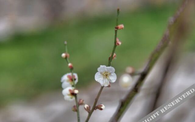 Yingwuxin Boutique Hostel Mount Mogan