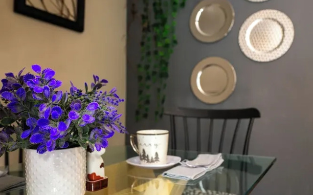 Cozy Apartment in Downtown Tepic