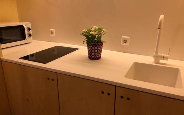 House in Porto Historical Center T1