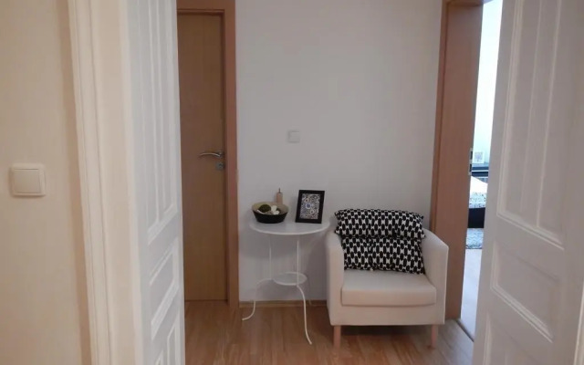 Downtown Apartment Behounska