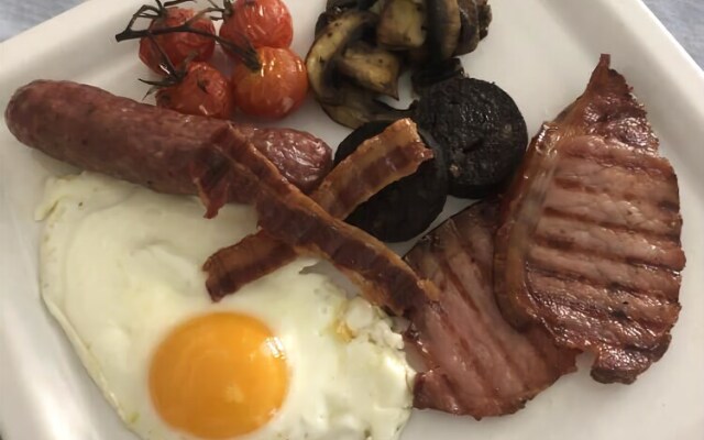 Forest view Bed and Breakfast