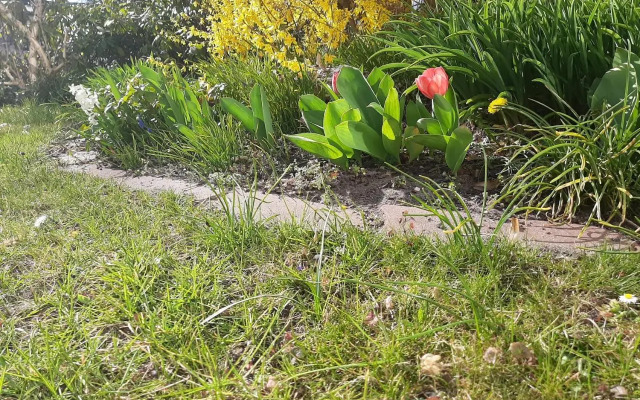 Gartenblick Trebbin