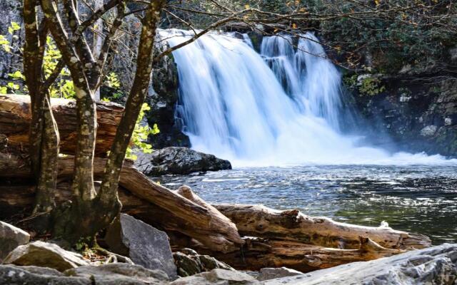 Whispering Pines 113