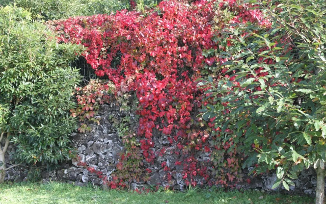 Quinta dos Afectos