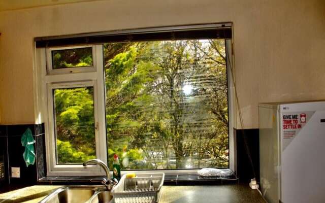 Sunny Apartment in Birmingham