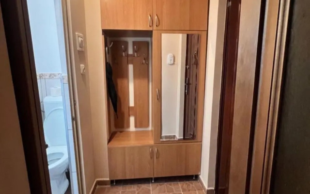 Miha modern and central apartament Malul Mureșului