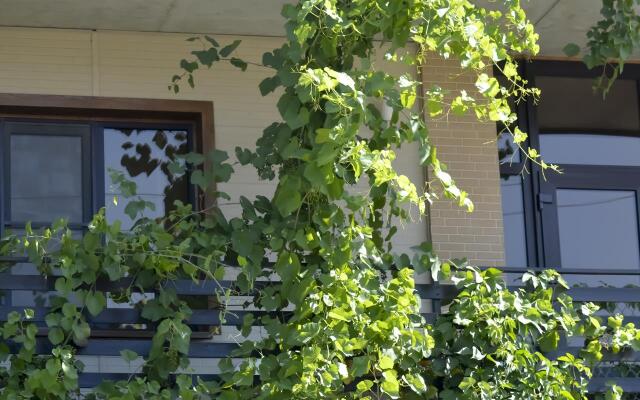Guesthouse Saqartvelo
