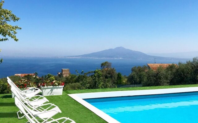 Sorrento Olive Tree Garden