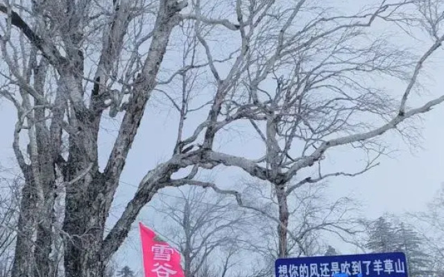 Liu family compound in Snow Valley