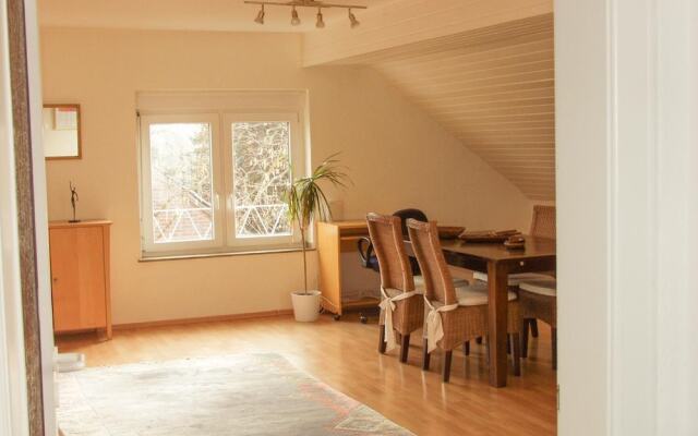 Tolstov-Hotels Generous 3 Room Apartment