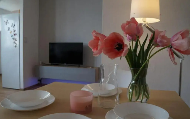 Apartament Gliwice Centrum Dunikowskiego