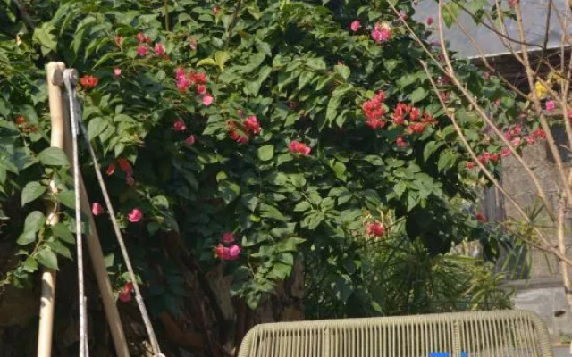 Hillside Homestay Yangshuo (Shili Gallery Yulonghe Branch)