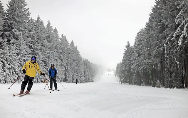 Modern Holiday Home in Eifel With Sauna