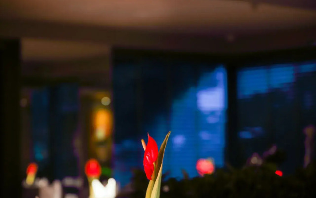 The Grandeur Boutique Hotel