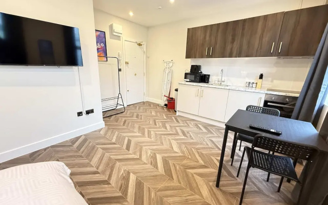 Spacious Modern Studio in Central London