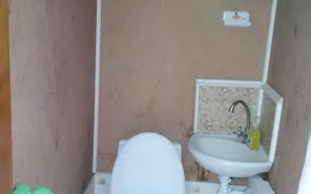 Pod palmoj