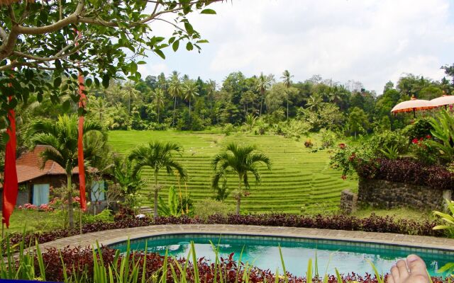 Bali Lush