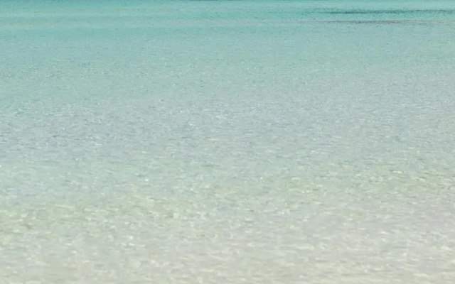 2105 B B Le Radici Del Salento - Quadrupla