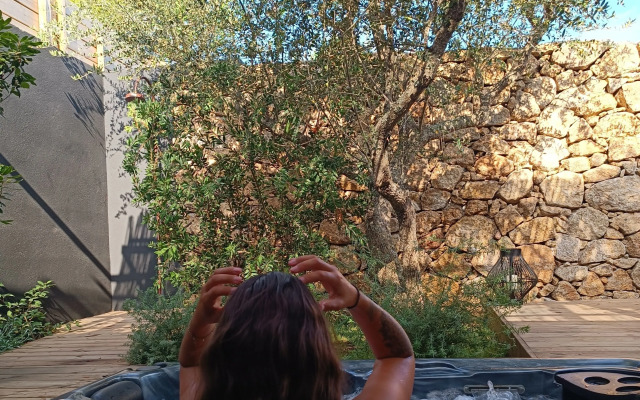 Les Suites Du Maquis