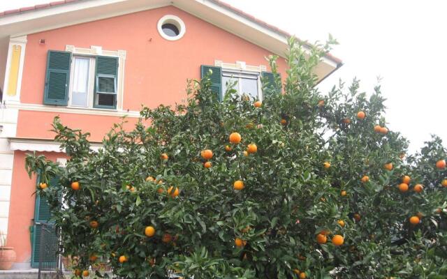 Le Clementine B&B