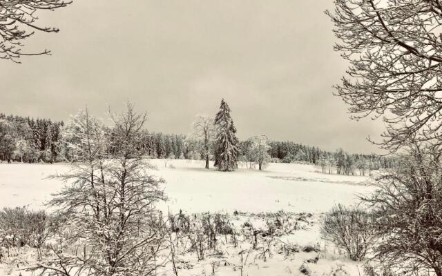 App 622 Panoramic Hohegeiß mit WLan Terrassenhaus