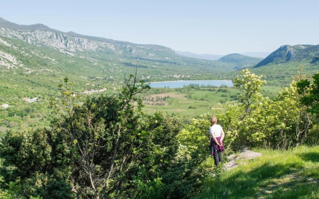 Pool Villa Cupido in Crikvenica - Drivenik
