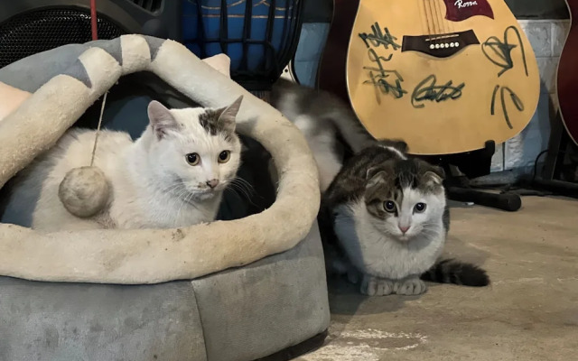 ShangriLa chudengshuo homestay