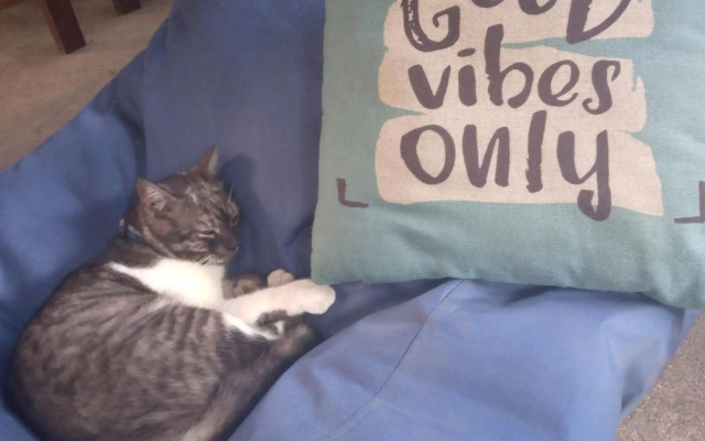 Good Vibes Bungalows