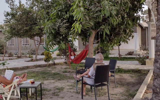 Real Owl Guest House