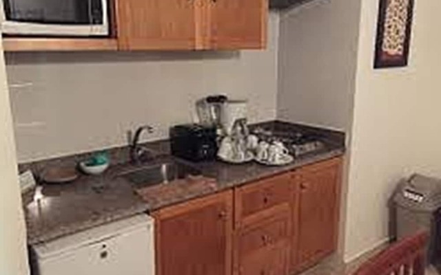 Vida Maya by Dicasi RM