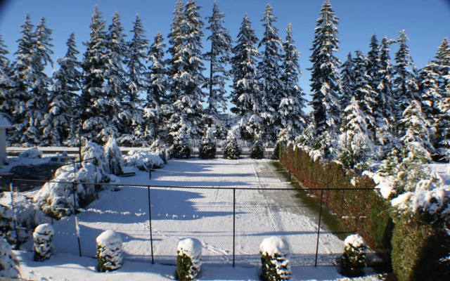 Brinkley Resort