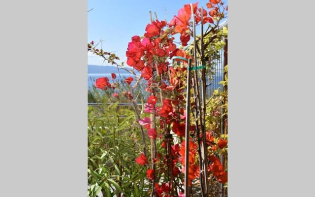 Ajaccio Splendide Vue Mer