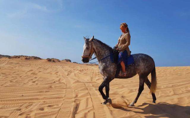 Surf And Soul Morocco