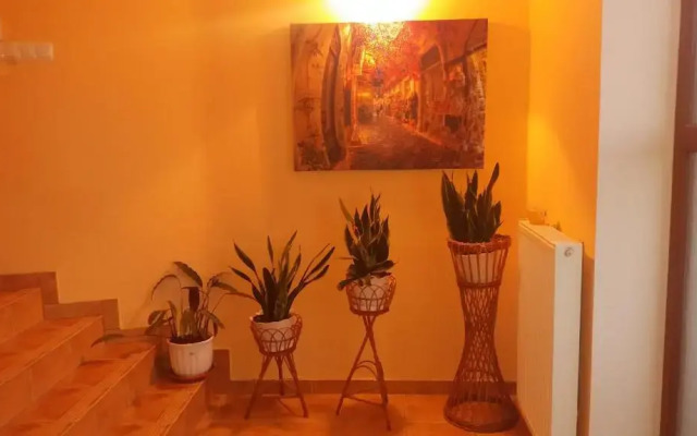 Noclegi Avoca