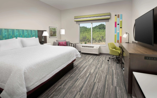 Hampton Inn & Suites Lexington Columbia