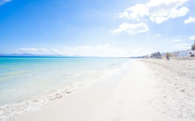 Sun Of The Bay Vidalba 1 (B2 - A1)