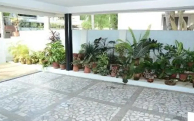 Palace Grove