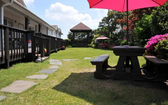Jeju Palm Hills Pension