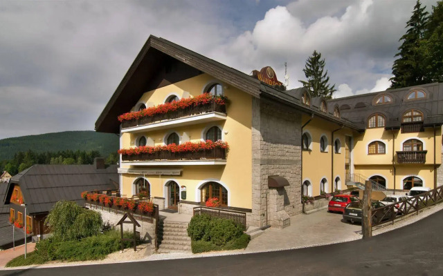 Wellness Hotel Windsor