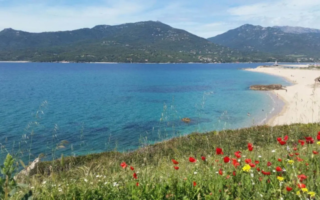 Studio T1 bis vue mer Propriano