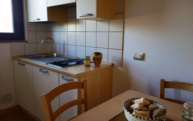 la corte degli ulivi