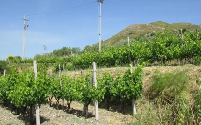 Casale Di Caterina