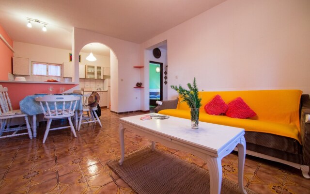 Victorious VIScovery Orange