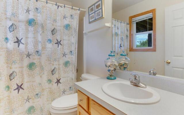 1622 - Monkey Sea Monkey Dune