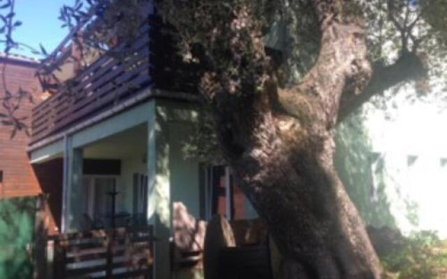 La Pampa Cargese Chambres d hotes