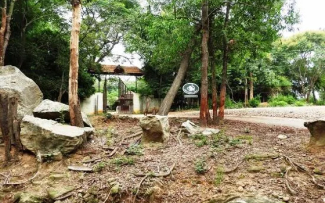 Bannerghatta Nature Camp