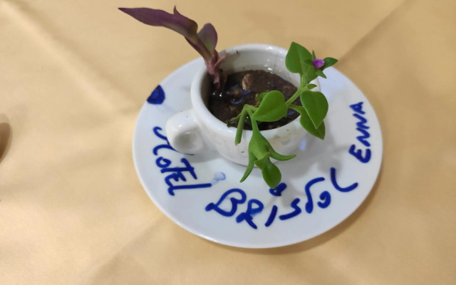 Hotel Bristol