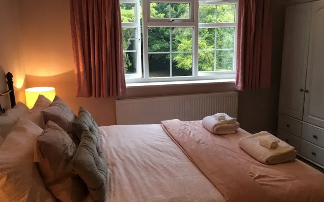 Leafy Suburban Bed & Breakfast